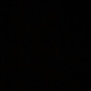 Meet your Posher, Toni